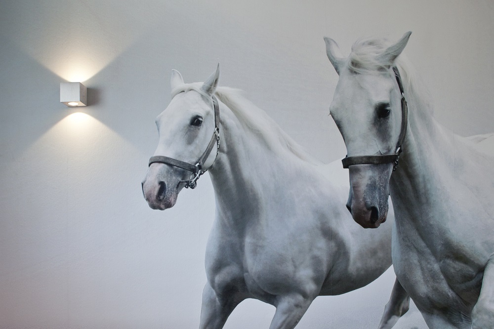 Blog - LedStore Blog - LedStore