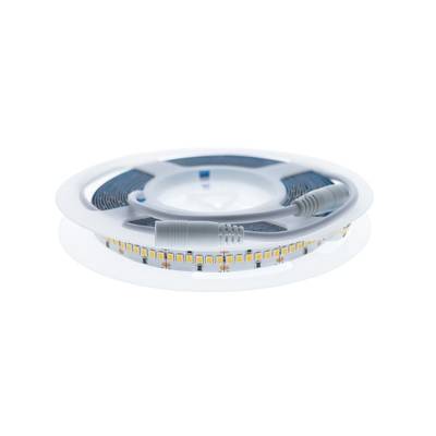 Striscia LED in rotolo, connettori a vista, sfondo bianco. Soluzione di illuminazione ad alta efficienza energetica.