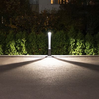 Un sentiero notturno illuminato da un'unica colonna luminosa a LED che proietta lunghe ombre, circondato da arbusti verdi e rigogliosi; ideale per l'illuminazione esterna.