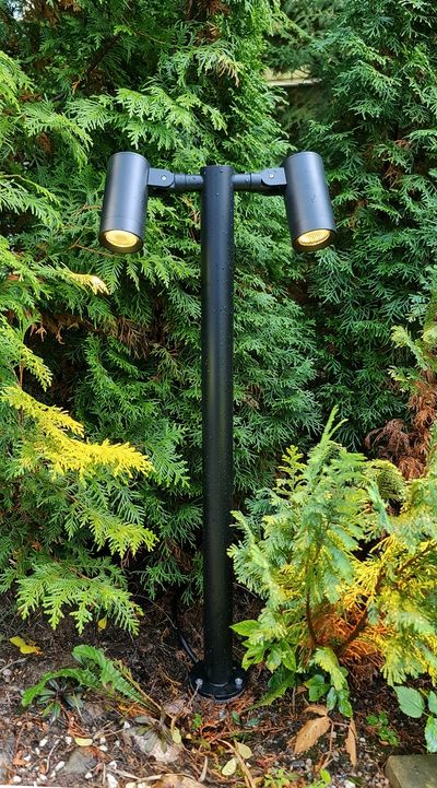 Il doppio faretto nero per esterni illumina il fogliame e le piante in un giardino. Illuminazione a LED per giardini e paesaggi esterni.