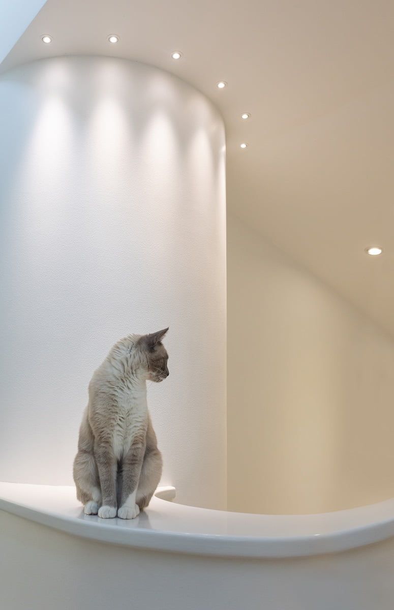 Da qui si vede molto lontano :) ©LedStore