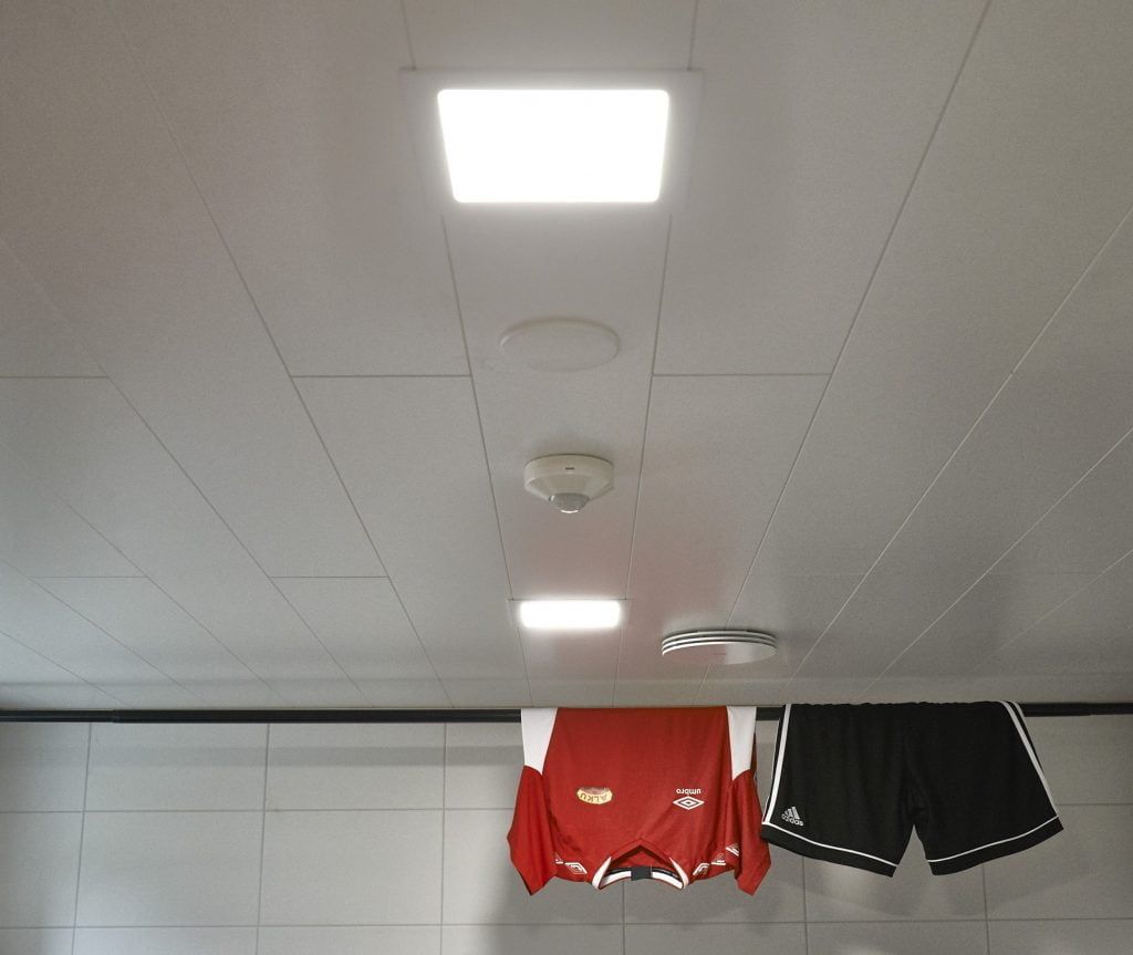 Uno sfondo verde con un contorno quadrato bianco al centro e il testo "LED STORE" all'interno, che evidenzia le soluzioni di illuminazione ad alta efficienza energetica.