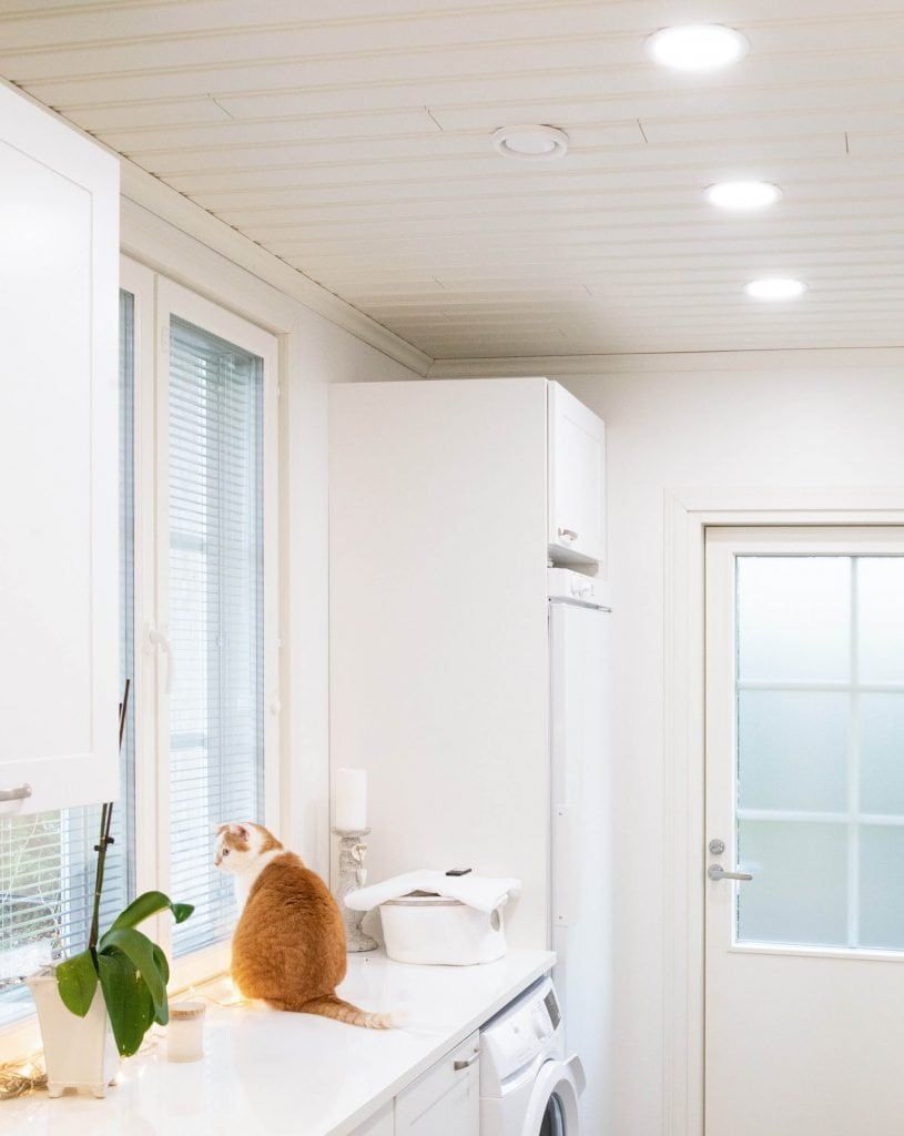 Logo LED STORE su sfondo verde con un quadrato bianco al centro e lettere maiuscole bianche in grassetto.