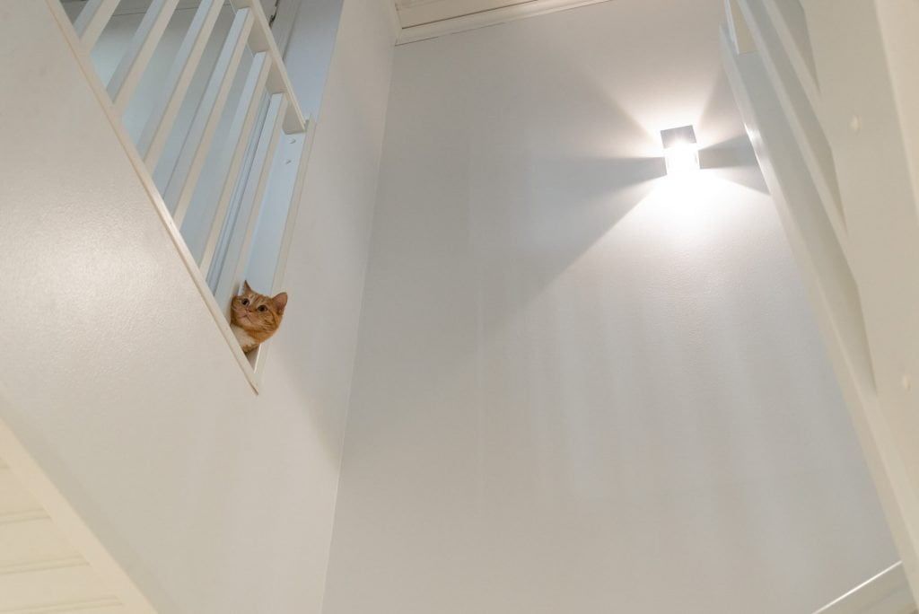 Sfondo verde con un quadrato bianco e la scritta "LED STORE" in grassetto, che promuove le soluzioni di illuminazione a LED.