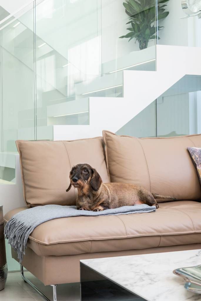 Logo del negozio di illuminazione a LED su sfondo verde e testo "LED STORE" su un quadrato bianco per migliorare la visibilità SEO e il riconoscimento del marchio.