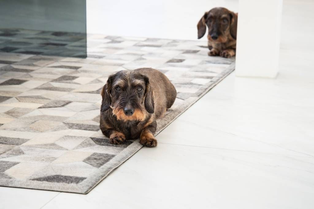Uno sfondo verde con la scritta "LED STORE" in grassetto al centro di un quadrato bianco, che evidenzia l'illuminazione ecologica.