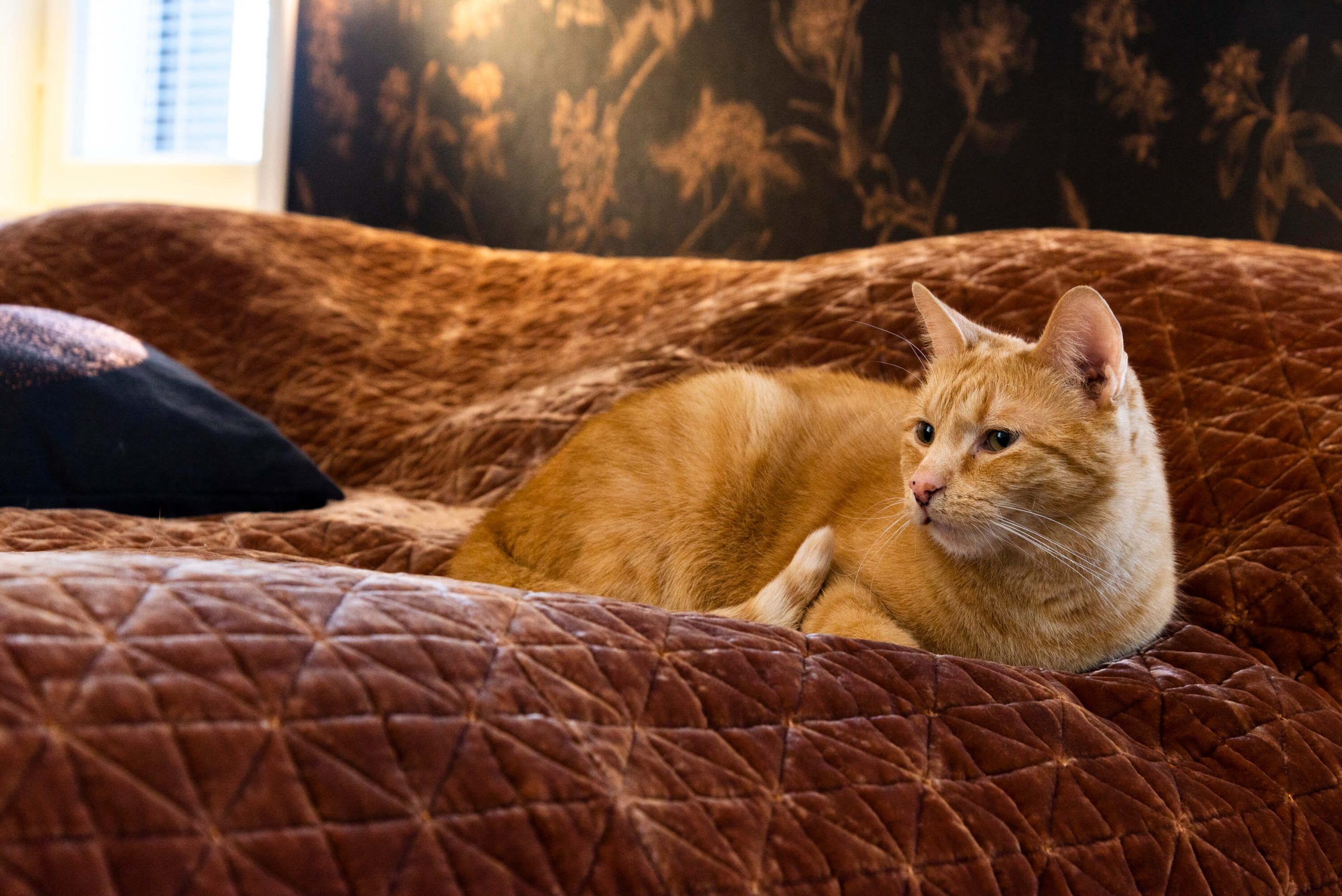 Testo LED STORE su un quadrato bianco con sfondo verde; soluzioni di illuminazione sostenibile per l'efficienza energetica di case e aziende.