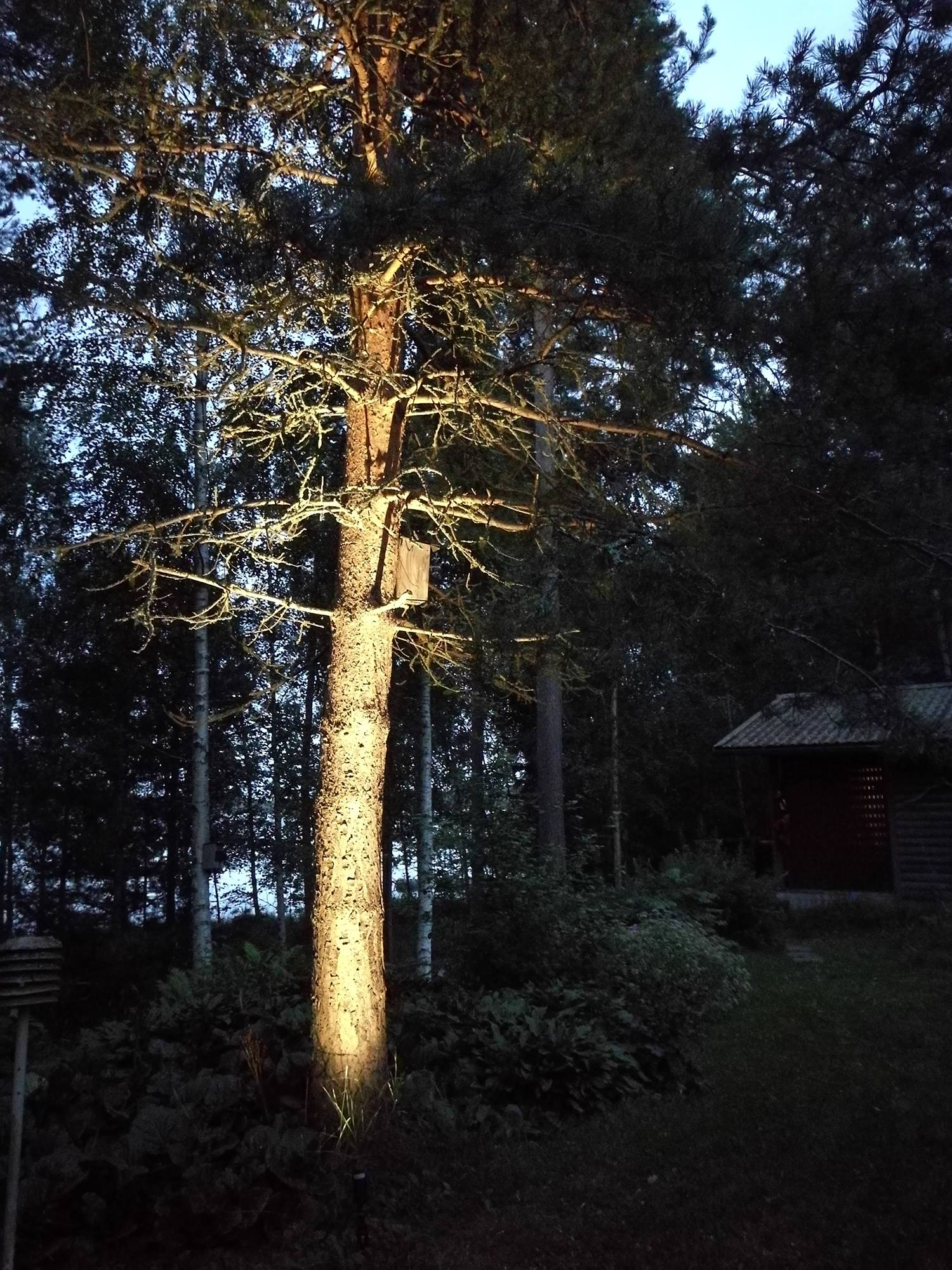 Illuminare e valorizzare un albero con una lampada in terracotta. Ledstore.fi