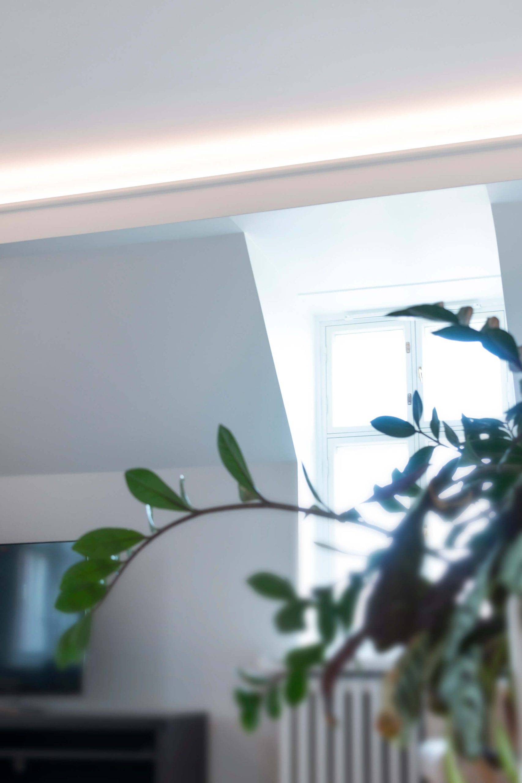 Uno sfondo verde con un quadrato bianco che riporta a grandi lettere la scritta "LED STORE", evidenziando l'attenzione al dettaglio dell'illuminazione a LED.
