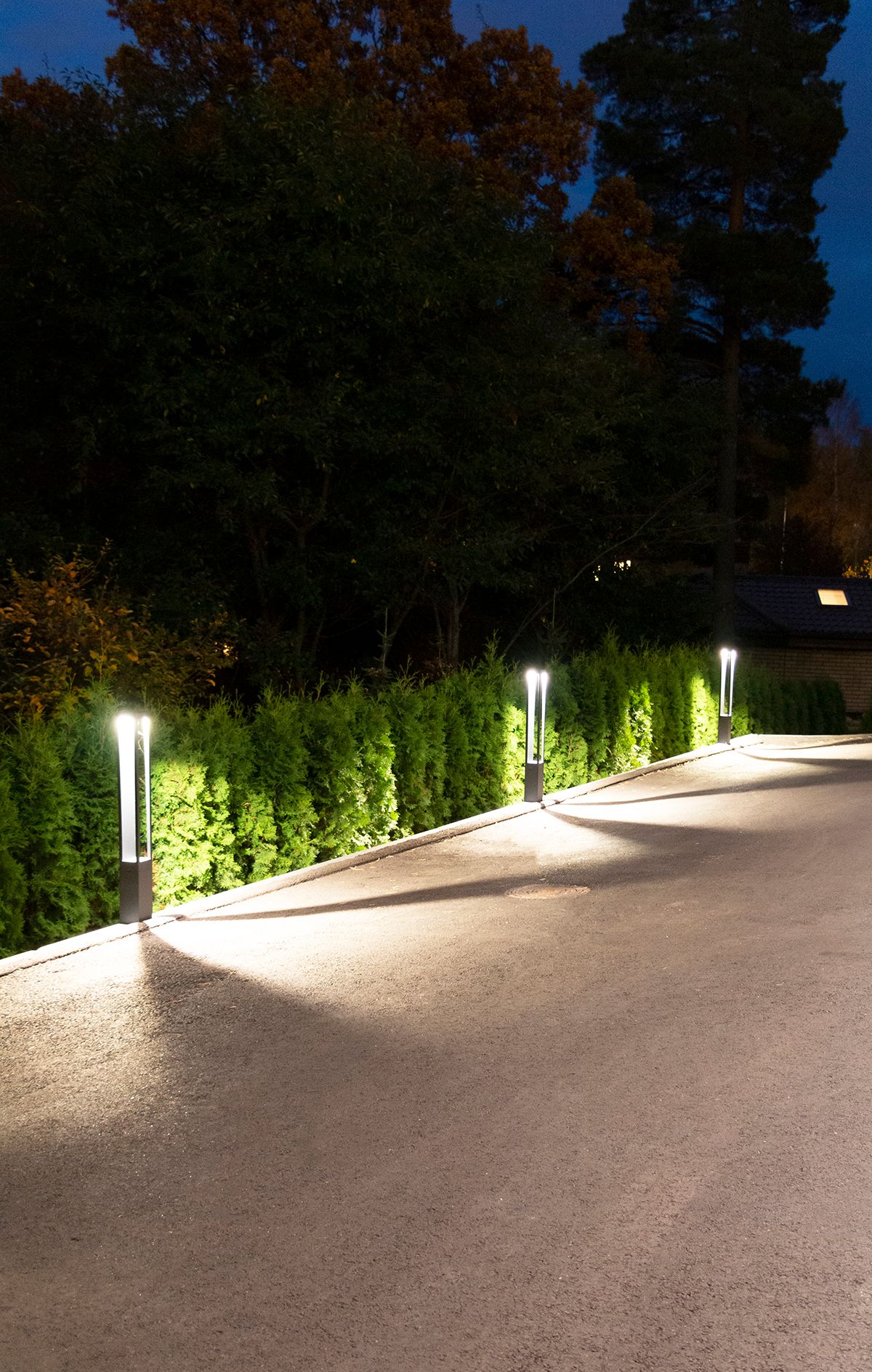 Sfondo verde con al centro un quadrato bianco con il testo "LED STORE" per soluzioni di illuminazione a risparmio energetico.