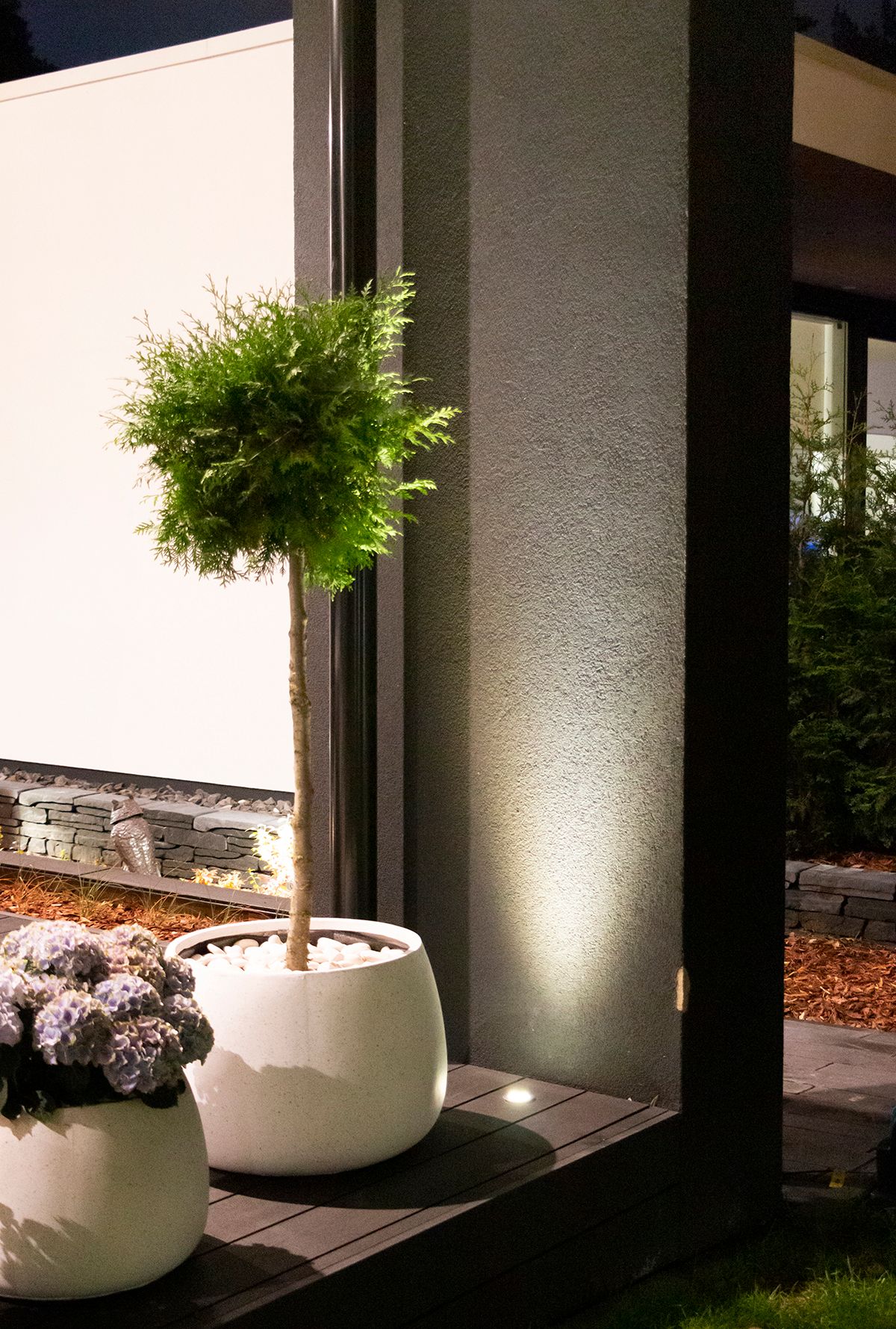 Logo LED Store su sfondo verde con scritta "LED STORE" in grassetto bianco all'interno della scatola.