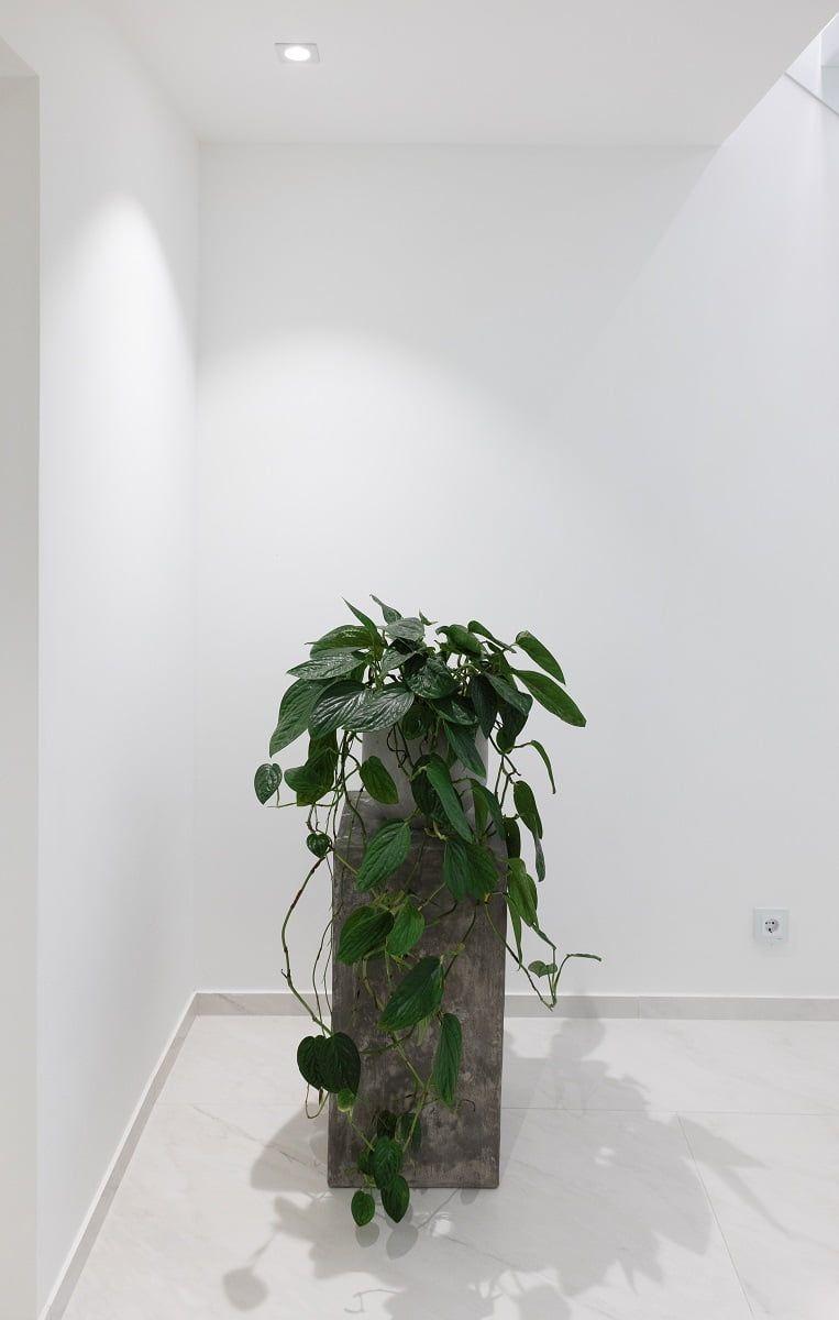 Logo del negozio di illuminazione a LED: un quadrato bianco su sfondo verde con il testo "LED STORE" in lettere maiuscole bianche in grassetto al centro del quadrato.