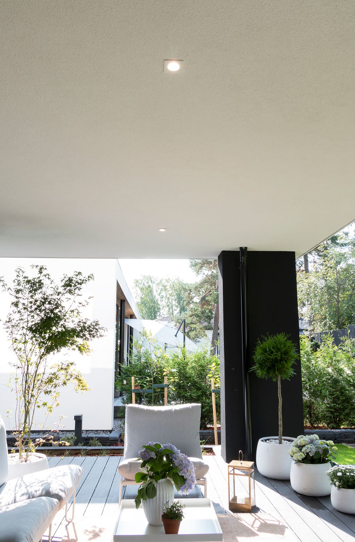 Grafica di un negozio di illuminazione a LED: sfondo verde con testo bianco in grassetto "LED STORE" al centro di un quadrato bianco.