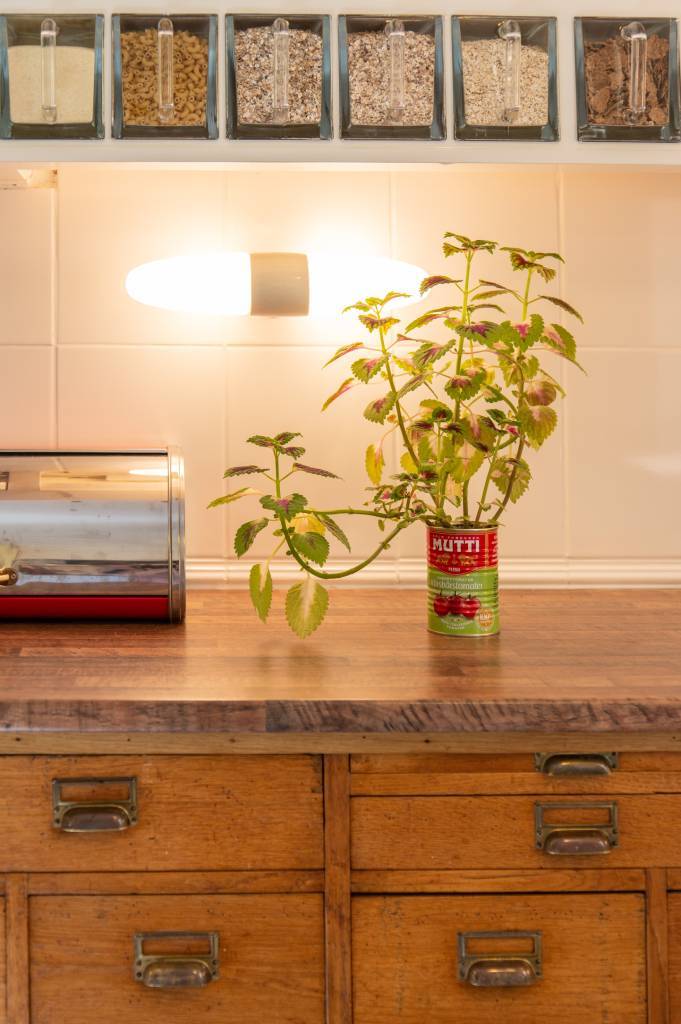 illuminazione a led per cucina vintage, lampadine a led E14