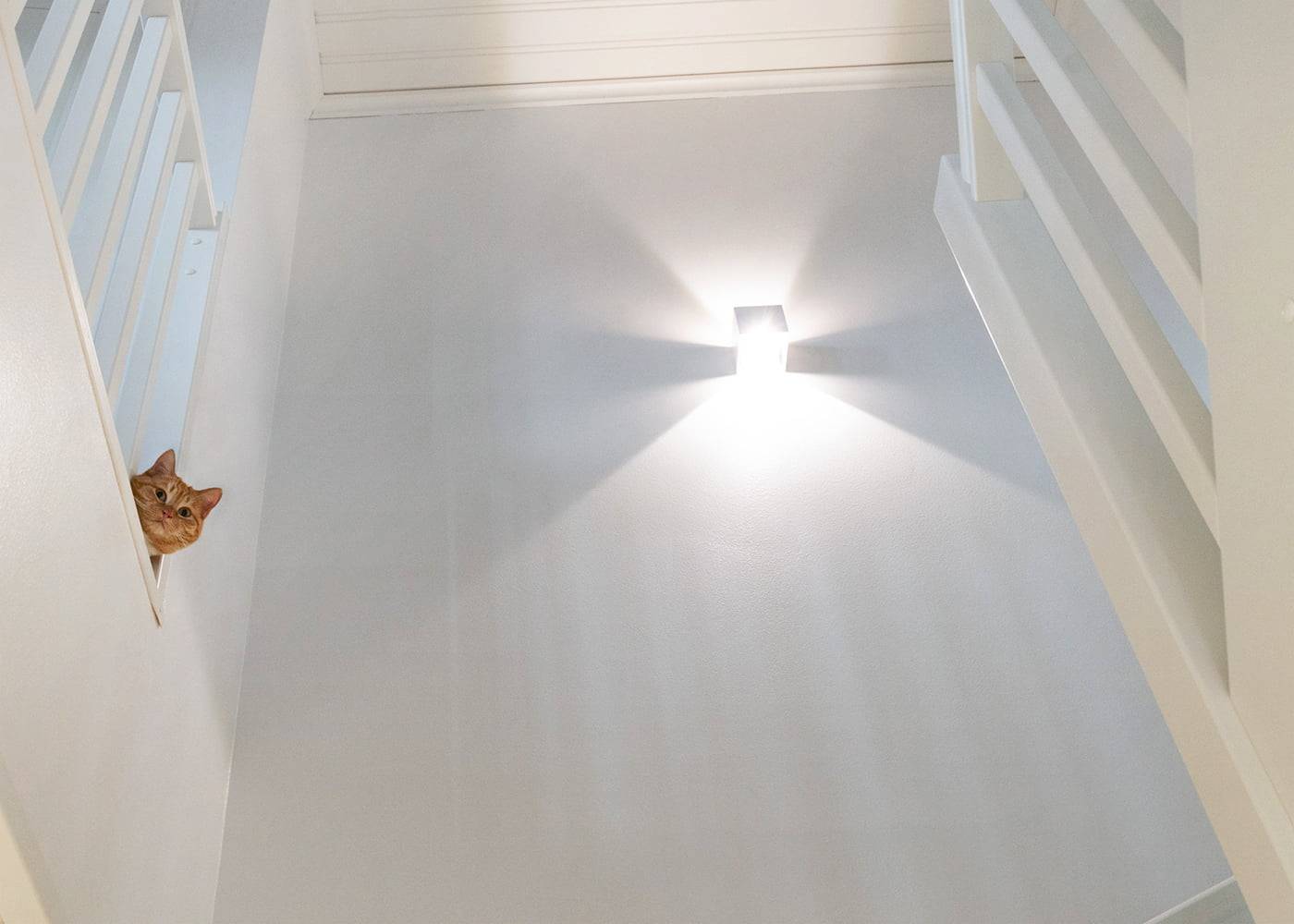 Un gatto arancione fa capolino dalla scala; un'applique a LED crea ombre stellate e aggiunge un'atmosfera accogliente alla scala bianca.