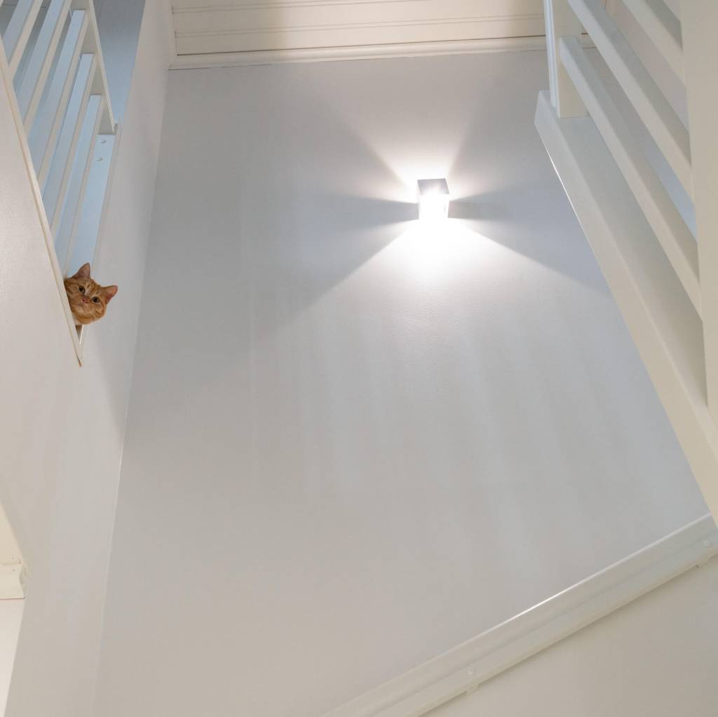 Crea un'atmosfera con la luce LED, anche con la lampada da parete FUNK