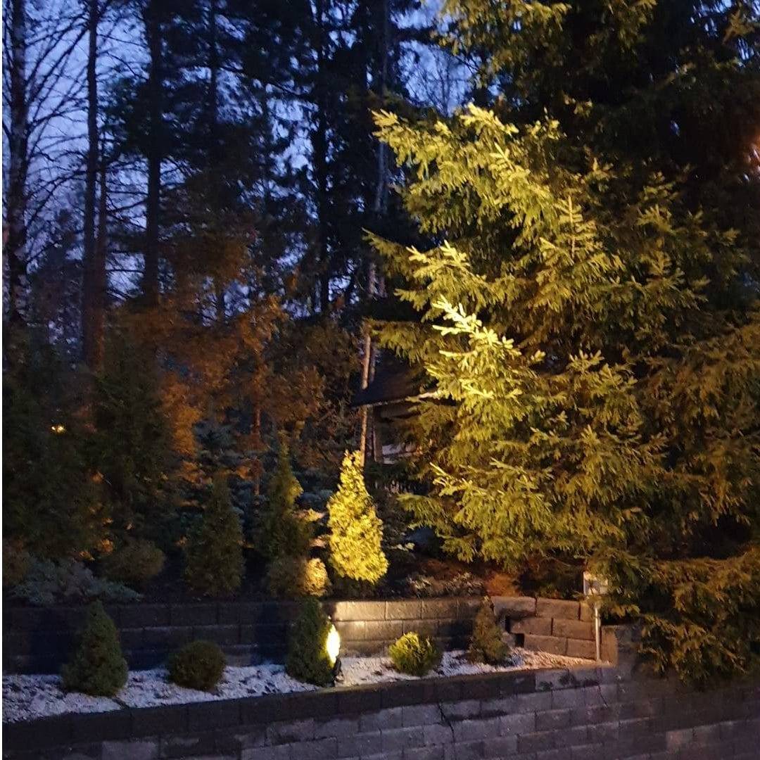 Area di coltivazione illuminata con SPIKE LedStore.fi