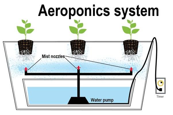 Agricoltura aeroponica