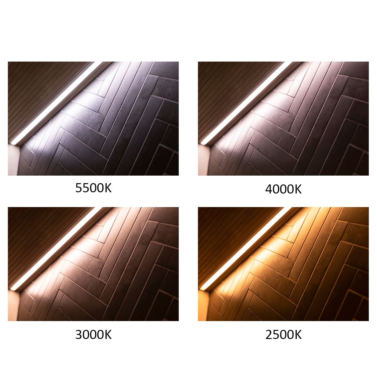 Logo LED Store su sfondo verde con testo "LED STORE" bianco in grassetto in un quadrato bianco, ideale per gli appassionati di illuminazione LED.