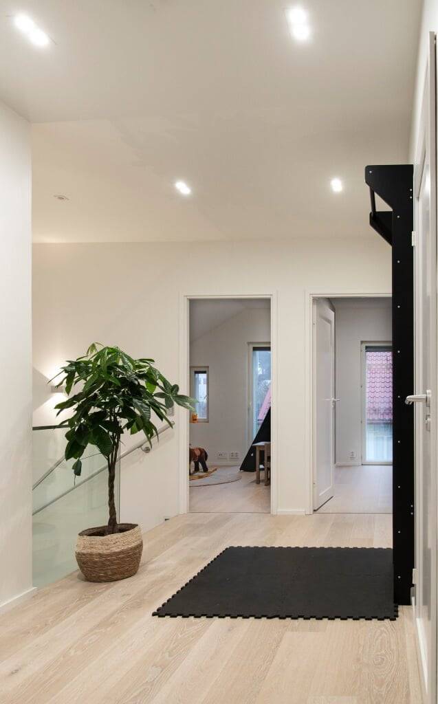 Sfondo verde con scritta "LED STORE" in bianco, all'interno di un contorno quadrato bianco per il branding di un negozio di illuminazione a LED.
