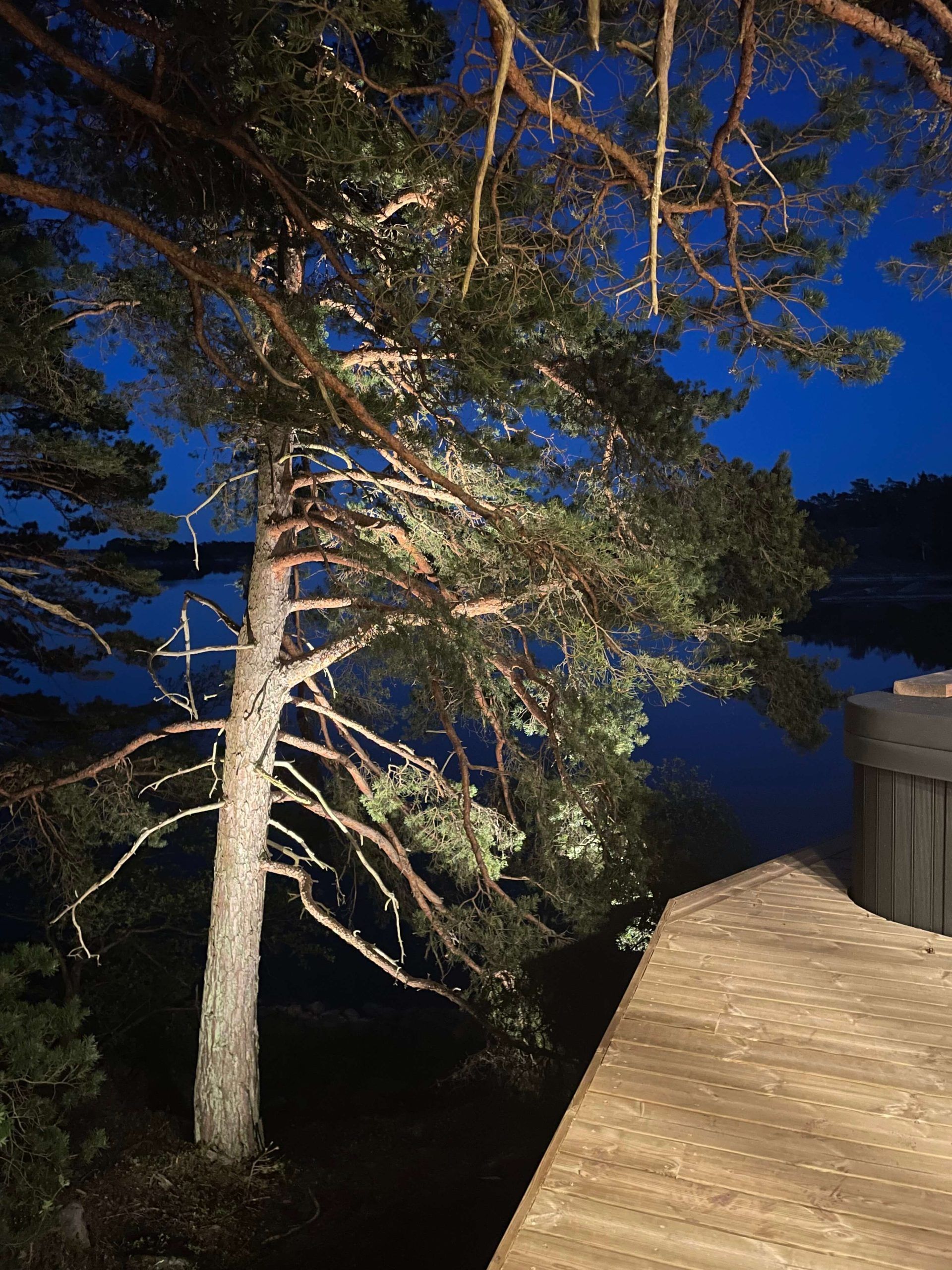 Illuminazione dell'albero.