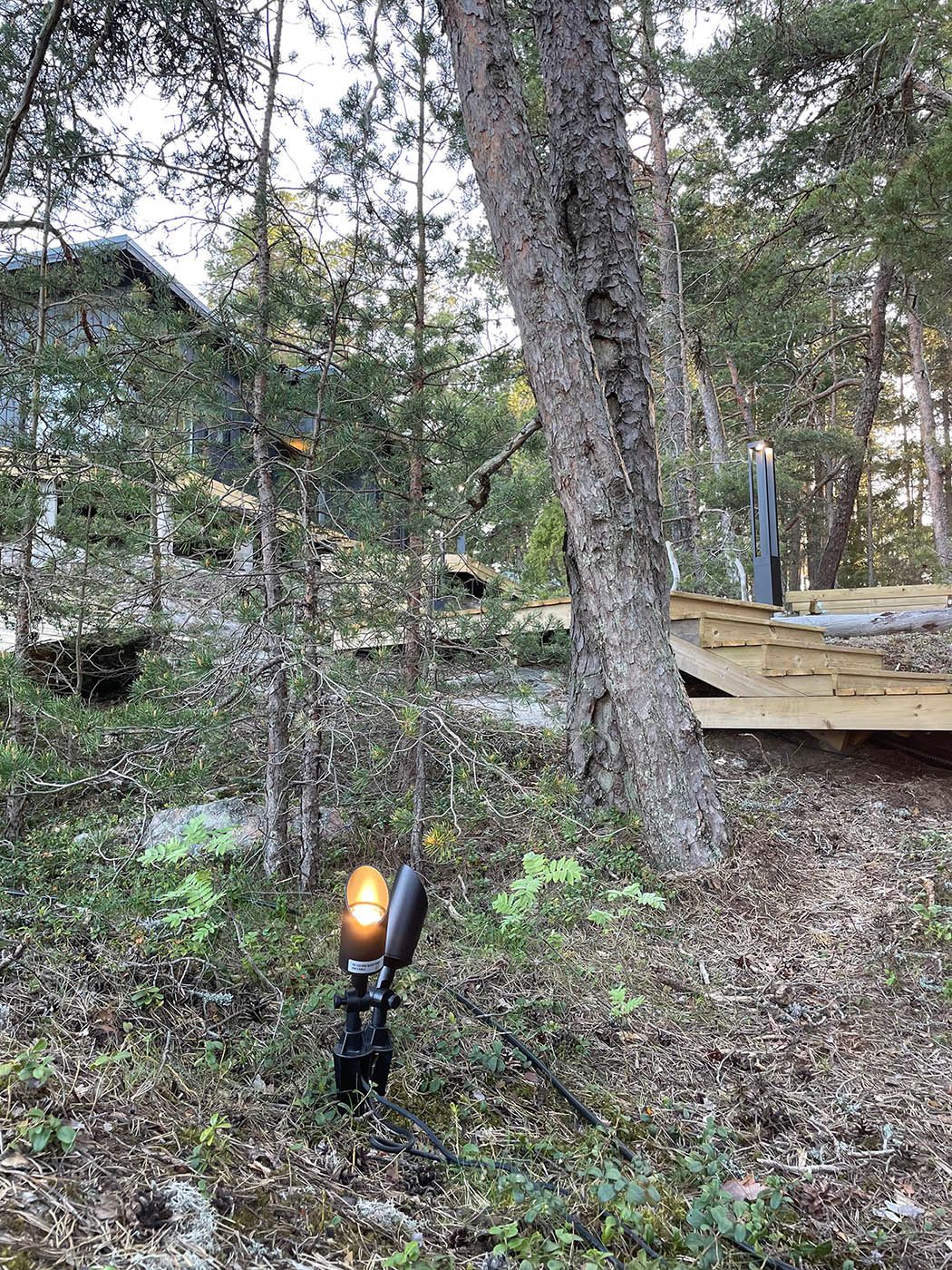 Lampada a terra a picco che illumina i pini.